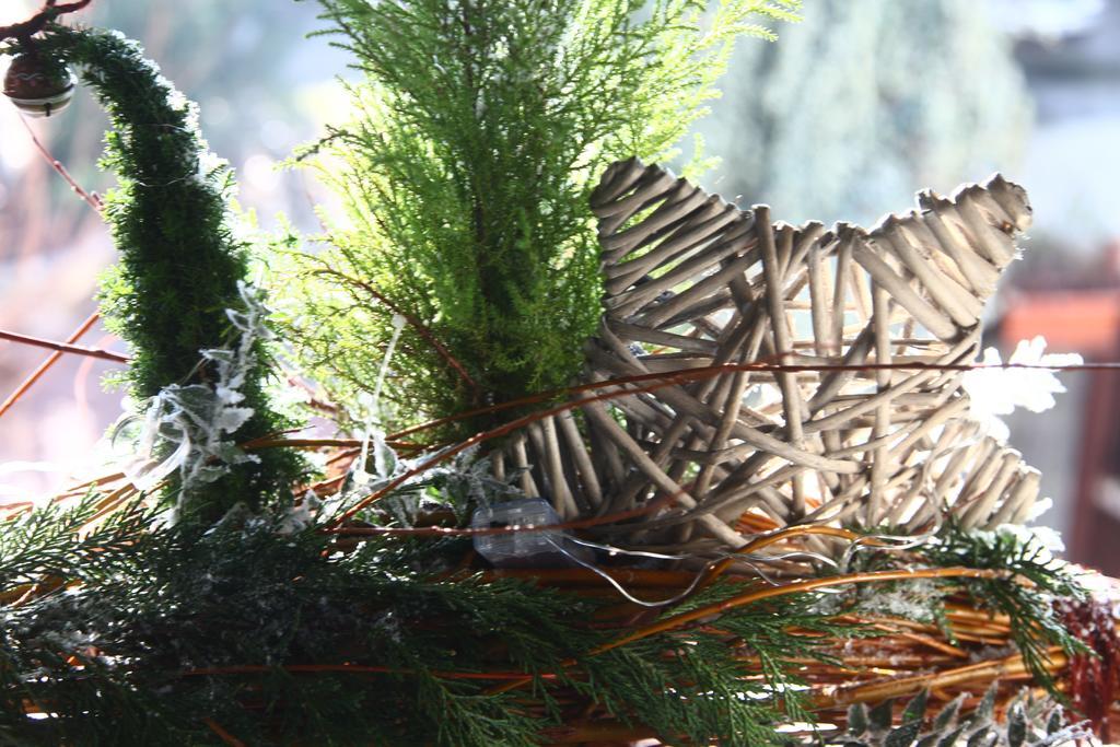 Bed & Breakfast Don Carlos San Martino di Lupari Exterior foto
